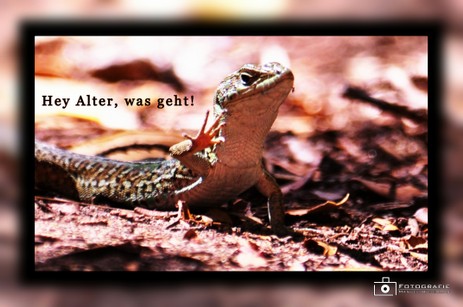 Hey Alter, was geht.jpg.jpg