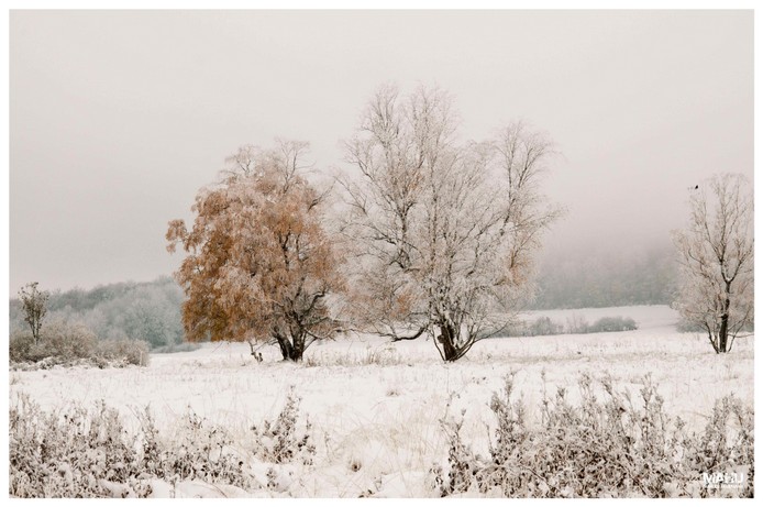 Schnee im Herbst 1.jpg