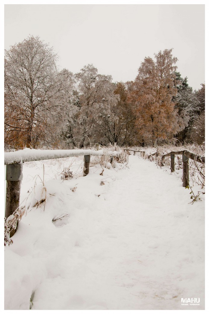 Schnee im Herbst 2.jpg