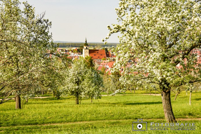 Weilheim FHU_1349.jpg